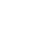 brain